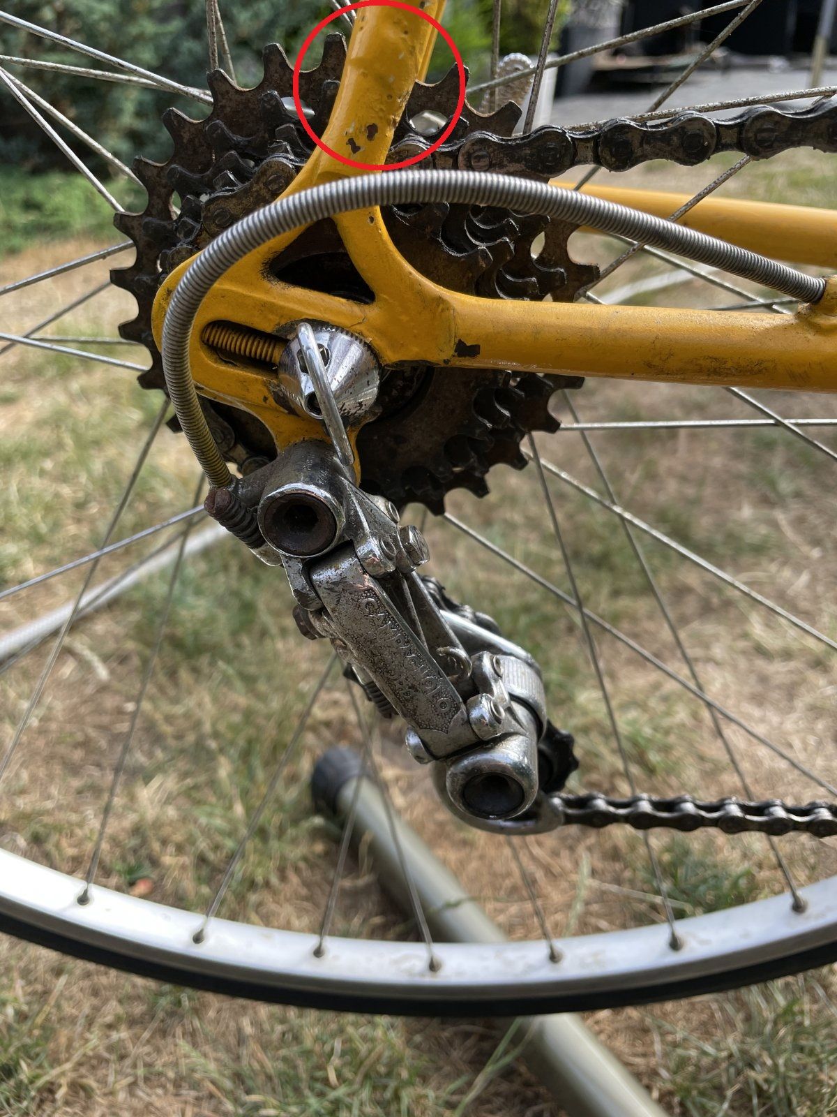 Cinelli.jpeg