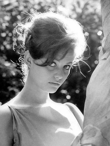 Claudia-Cardinale-claudia-cardinale-33379824-377-500.jpg