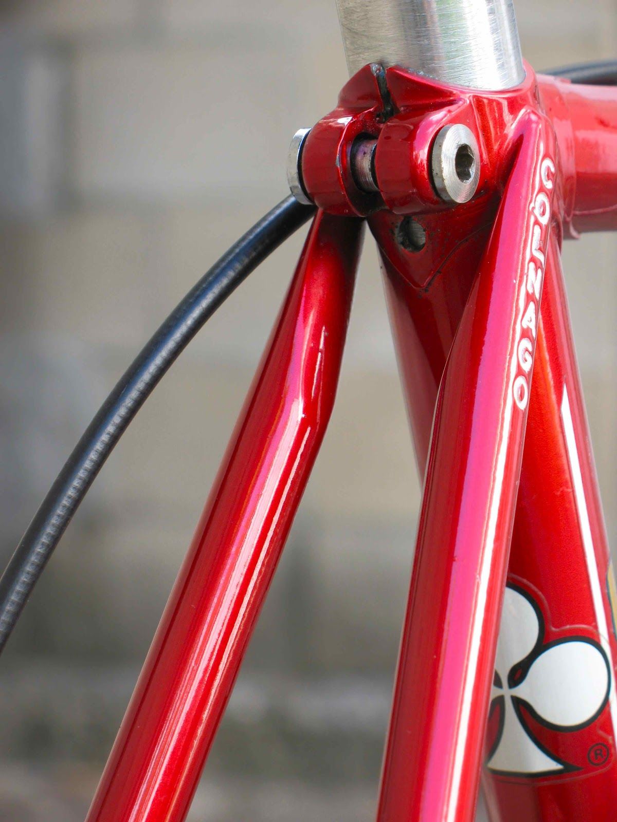 colnago09.jpg