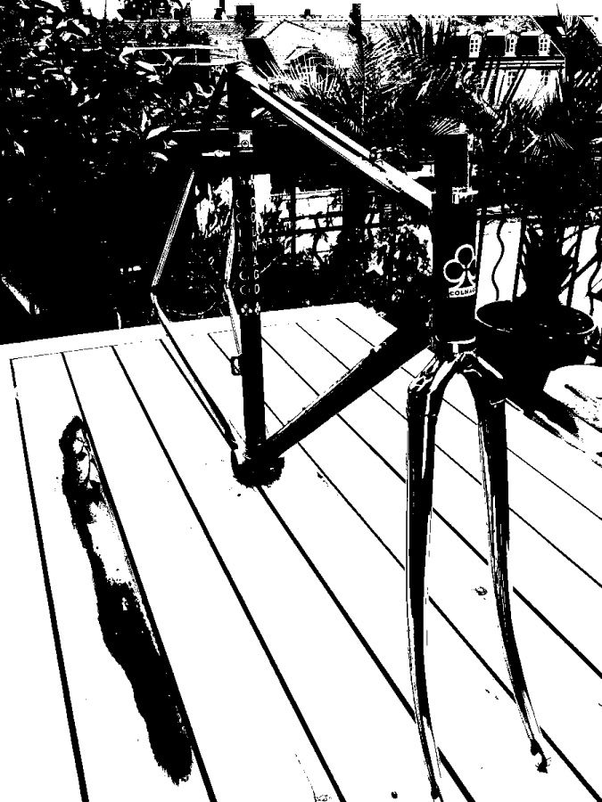 colnago2sw.png