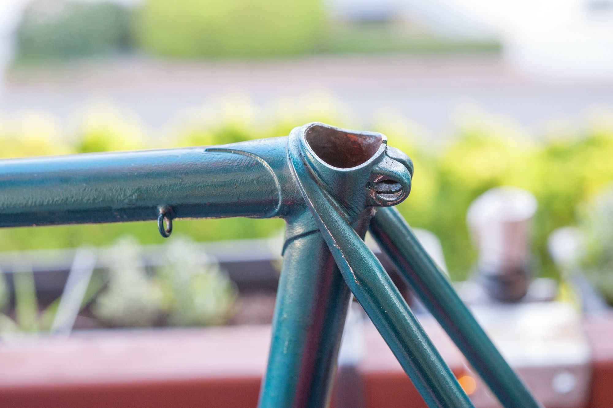 comp_20180819-_DSC7879.jpg