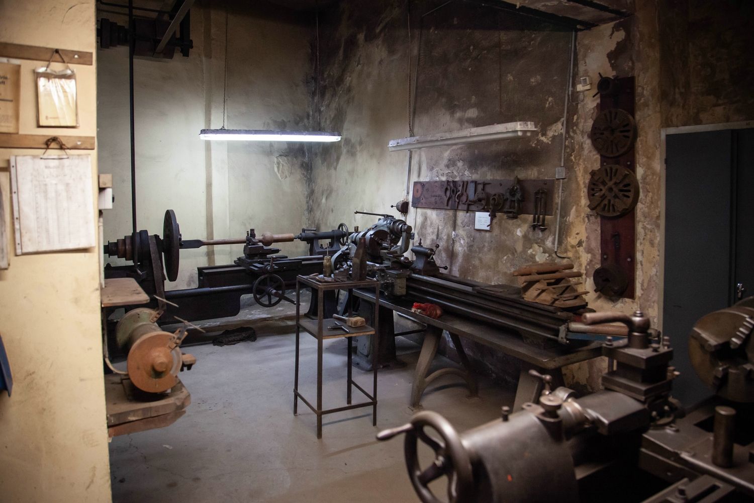 comp_IMG_8864.jpg comp_IMG_8864.jpg