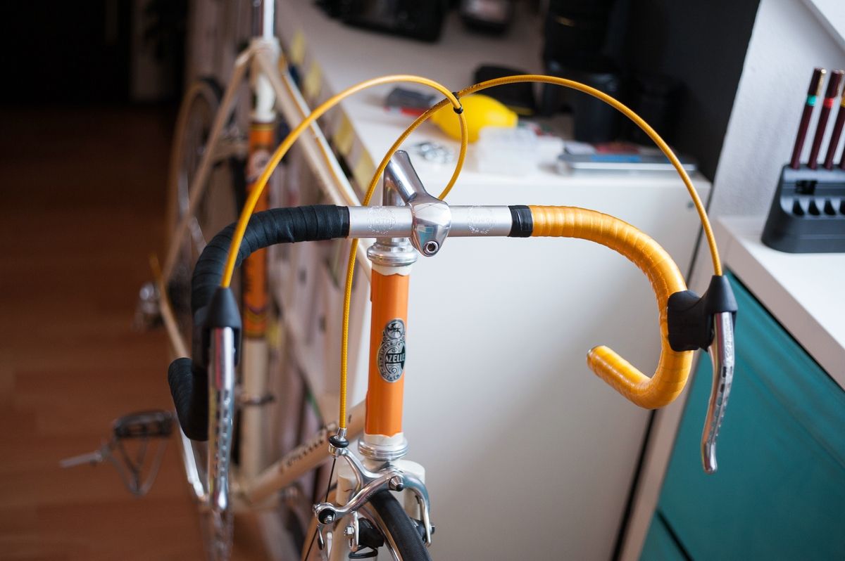 compgazelle -4.jpg