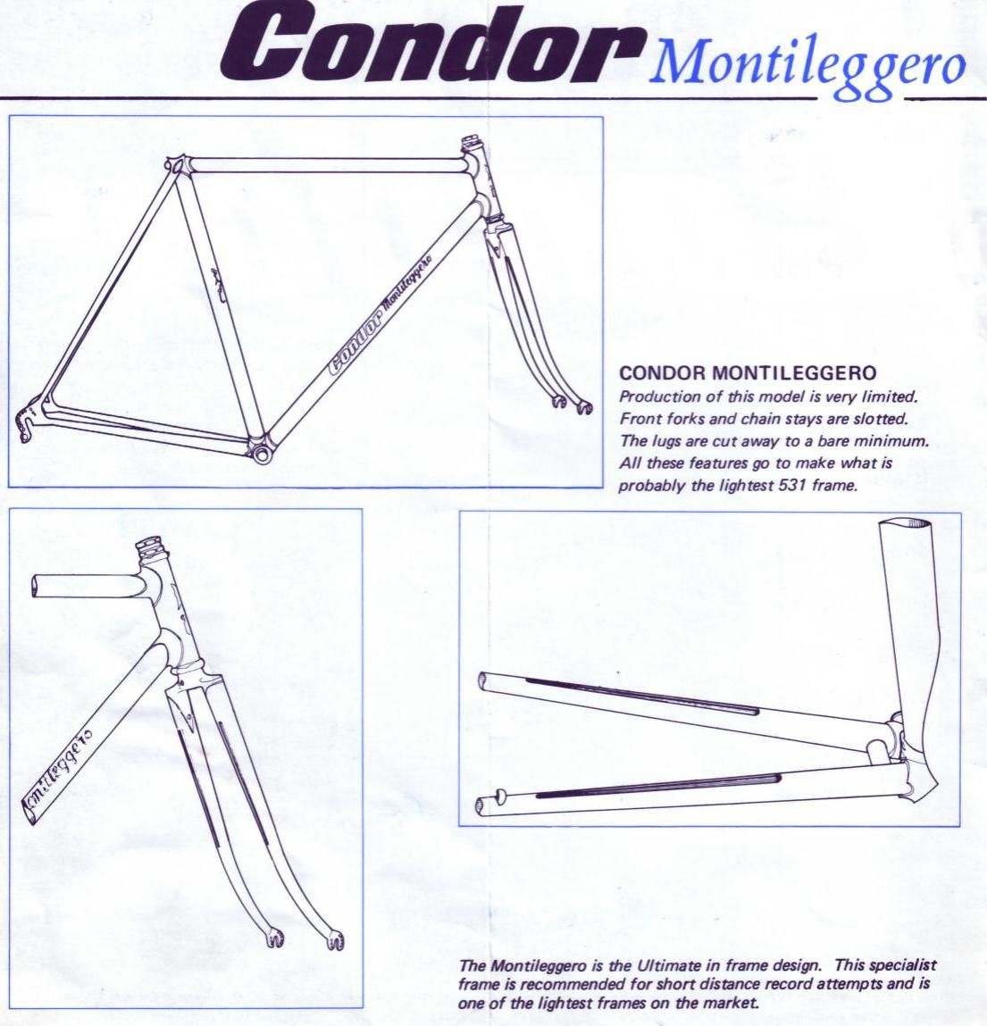Condor.jpg
