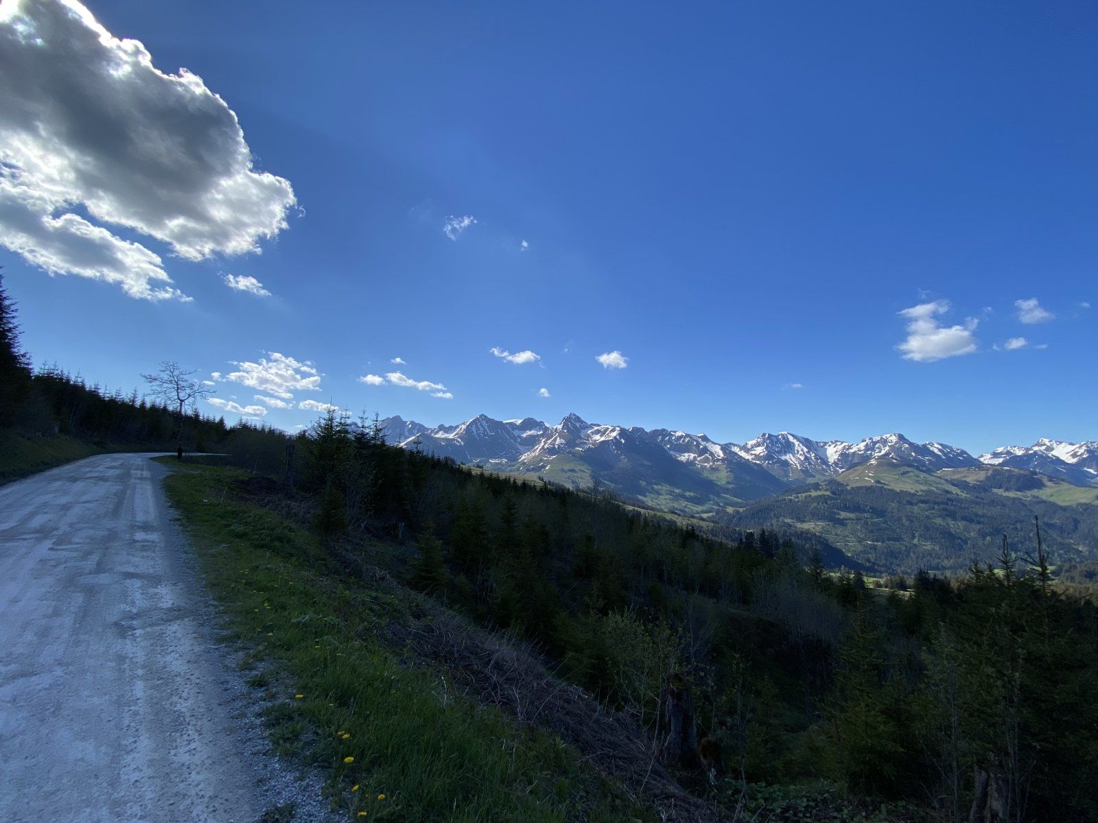 D337AEF5-C01D-42DA-B16D-792F684E3994.jpeg