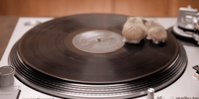 d34a016f519d51e647afeb9fb962c07b ttr.gif