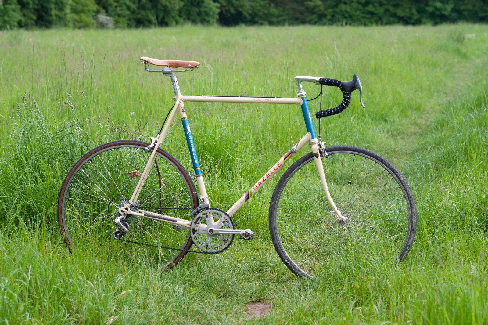 D700_23.5-976.jpg
