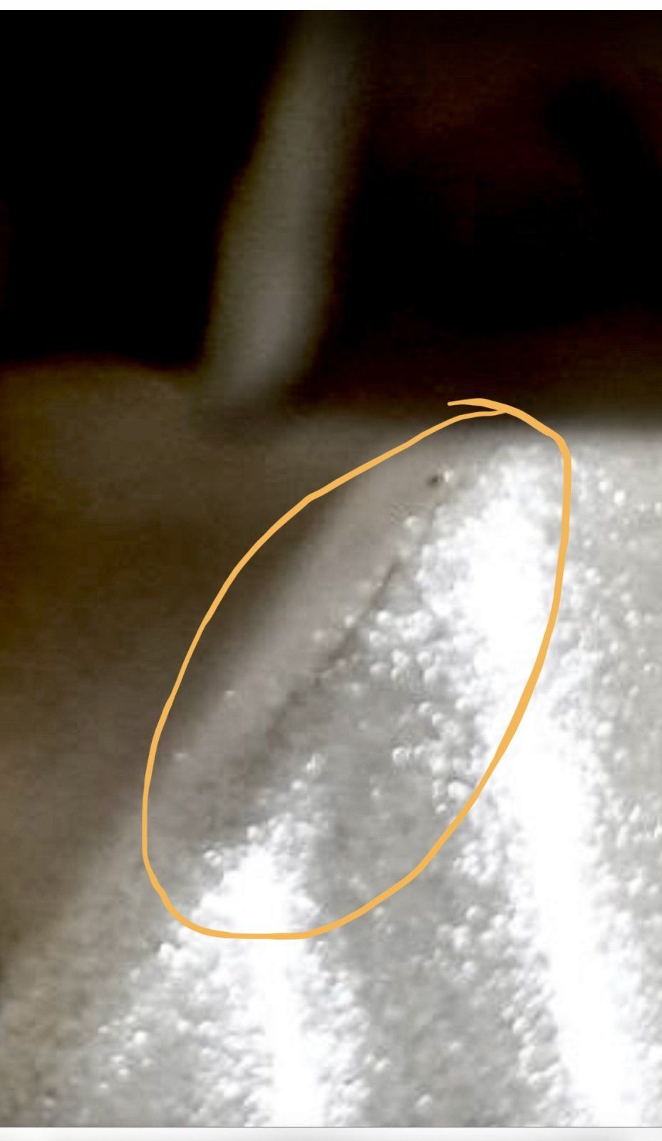 D9D5853E-72C9-436D-BE31-6C226B945F88.jpeg