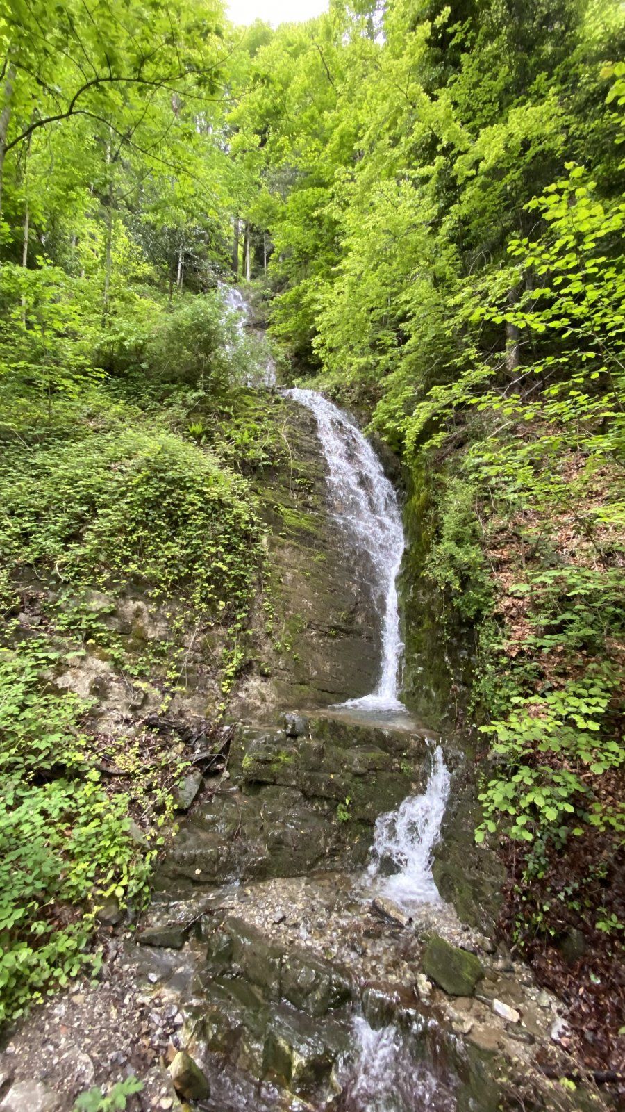 DAEAE234-9494-4B0B-B9F5-F5C314E455D3.jpeg