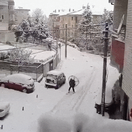 daily_gifdump_2982_07.gif