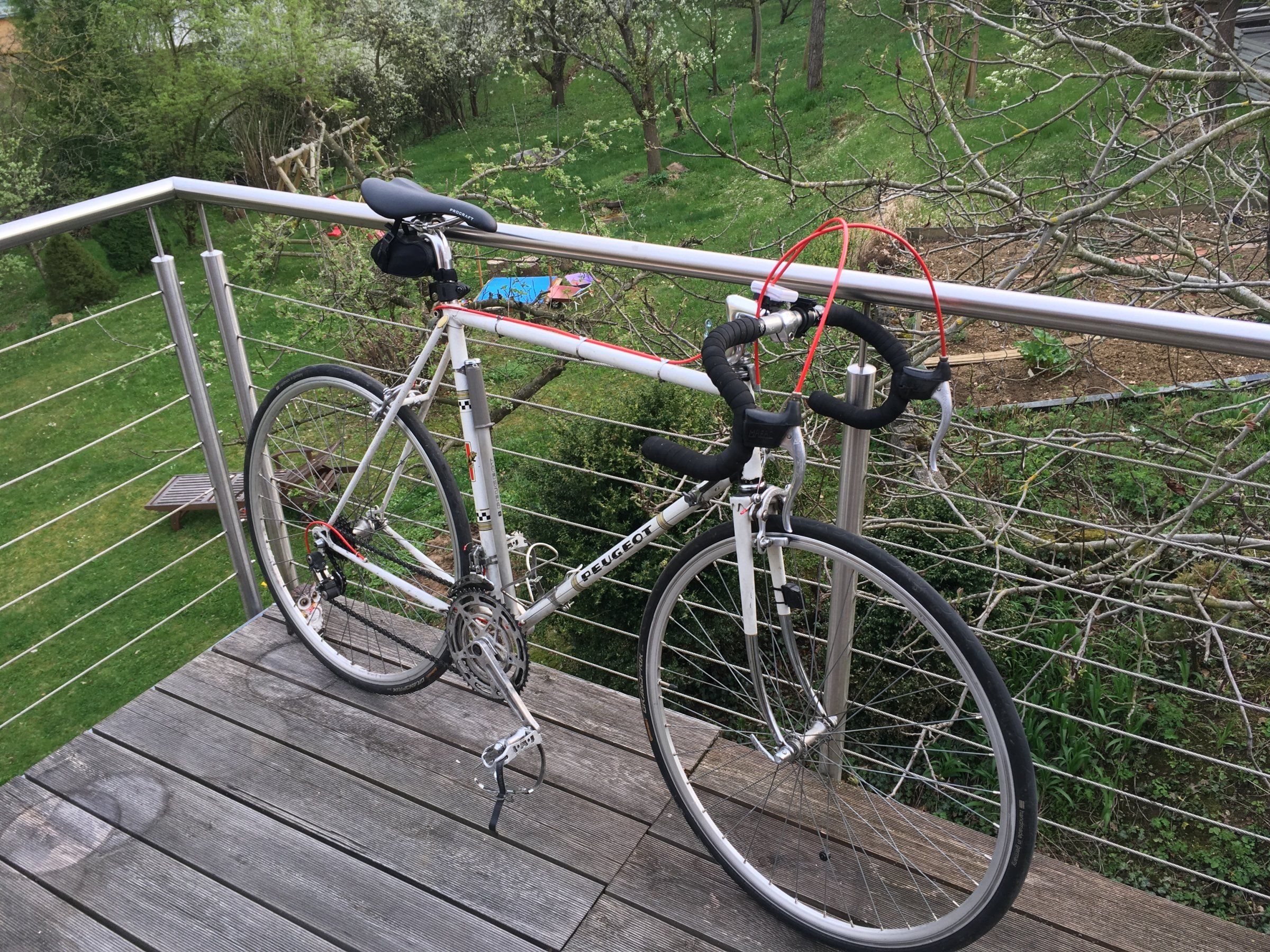 Datei 05.04.17, 18 15 53.jpeg