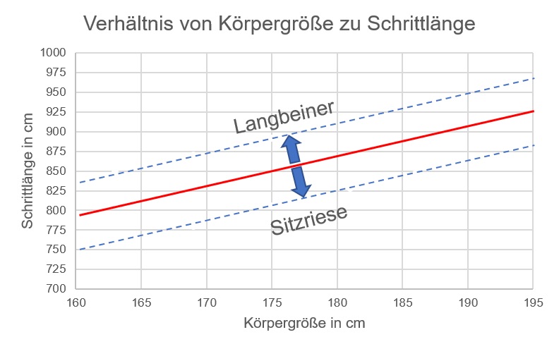 Diagramm_Langbeiner_Sitzriese1.jpg