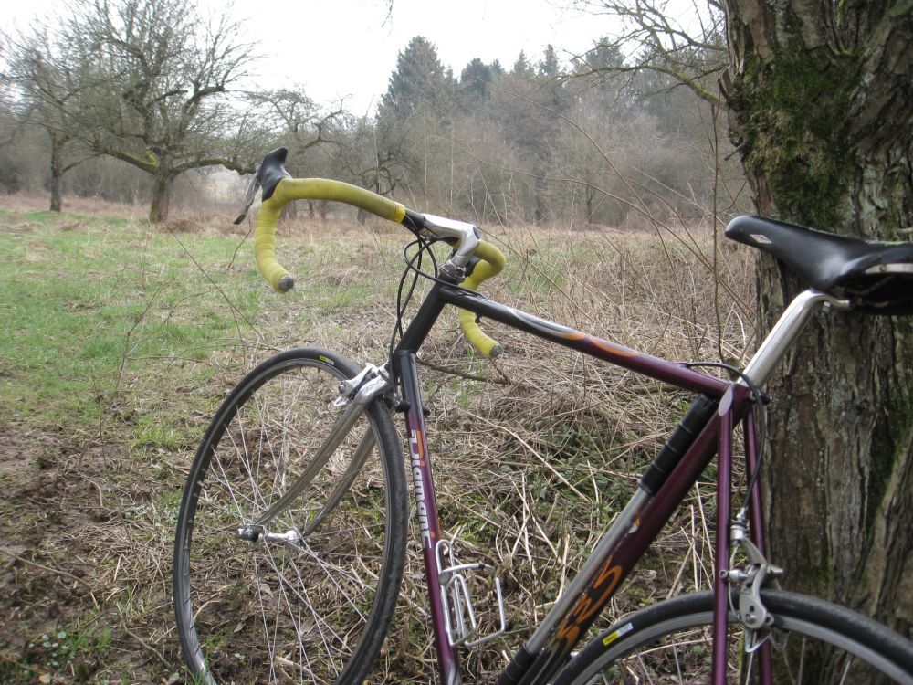 diamant mars elbach.jpg