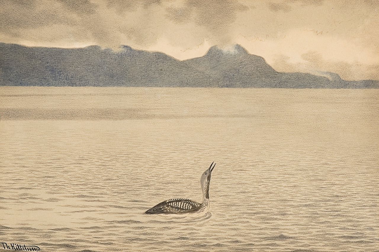 Diver Cries - Theodor Kittelsen.jpg