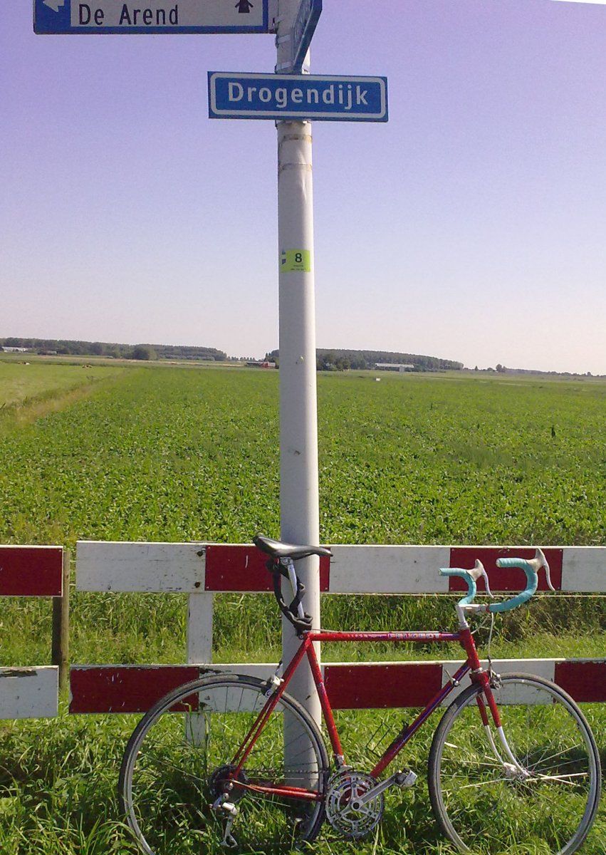drogendeich.jpg