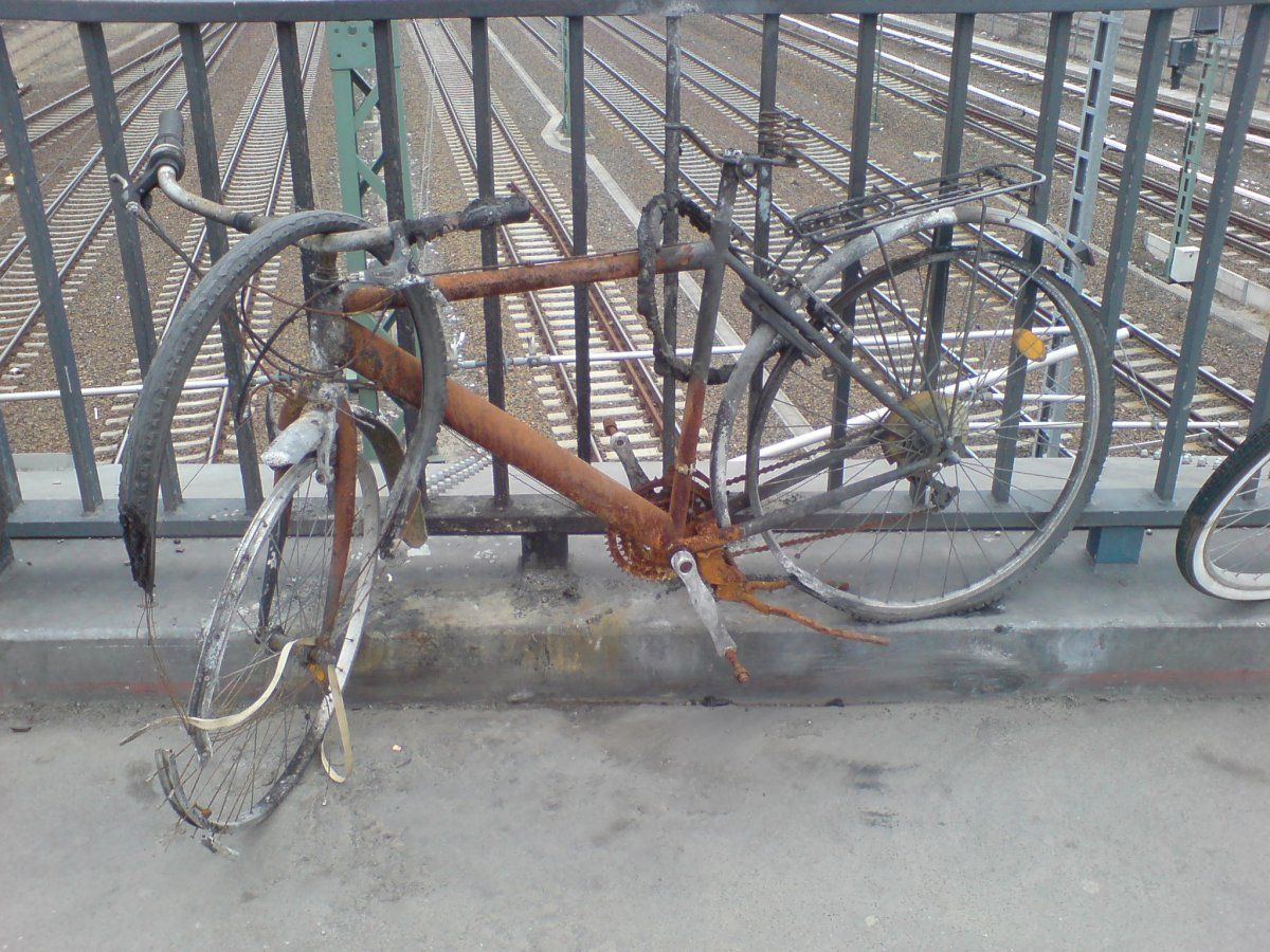 DSC00001.JPG