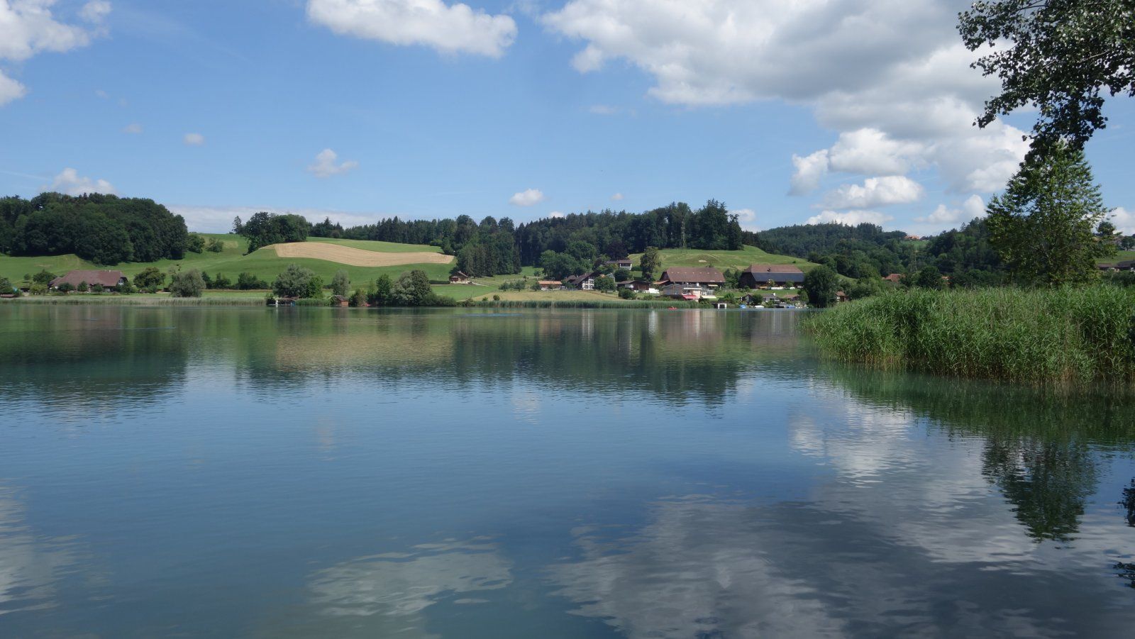 DSC00015.JPG