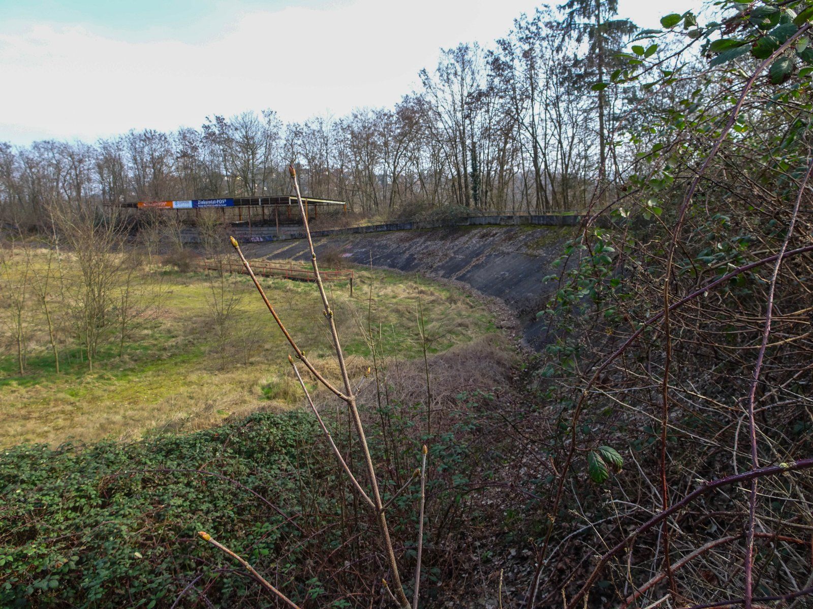 DSC00039.jpg