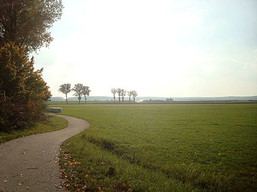 dsc00114k.jpg
