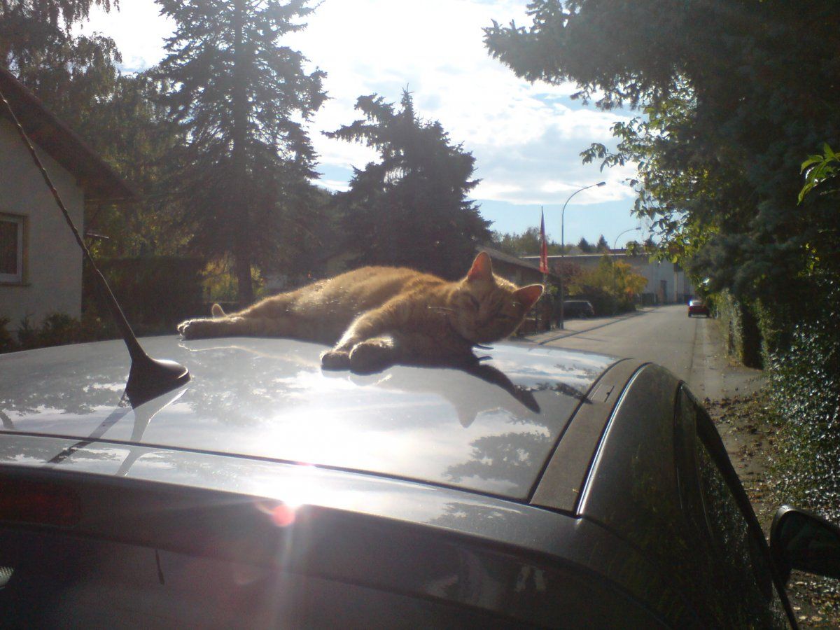 DSC00324 - Kopie.JPG