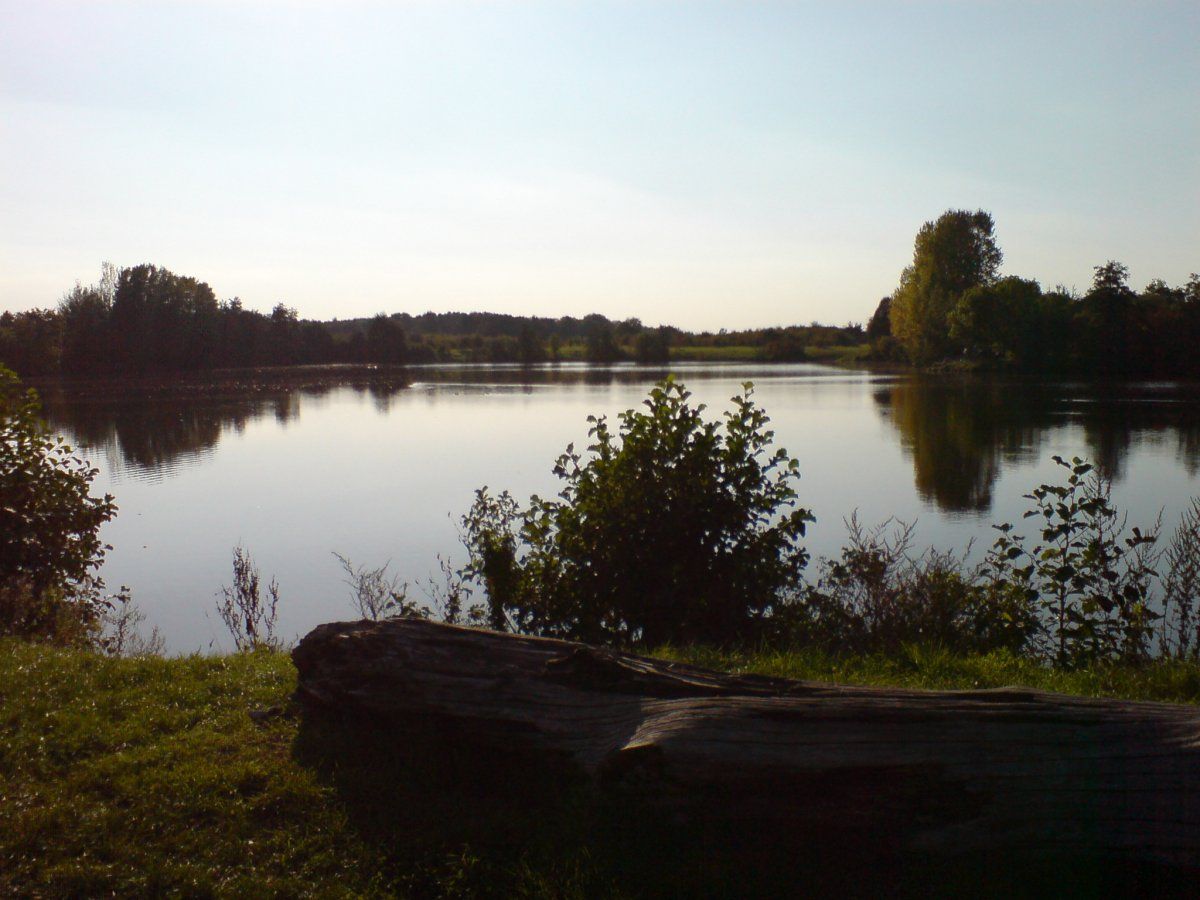 DSC00370 - Kopie.JPG