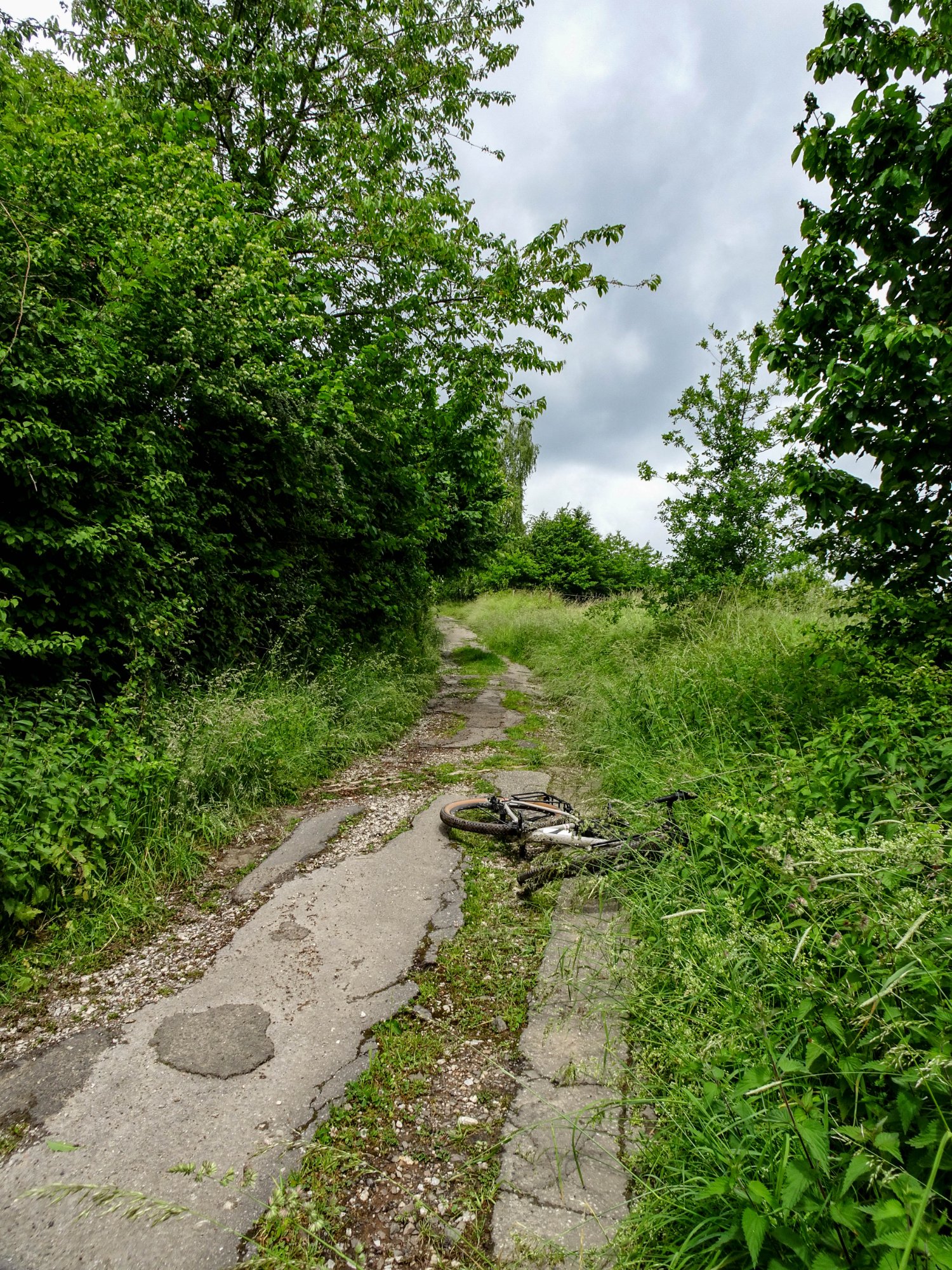 DSC00631.jpg