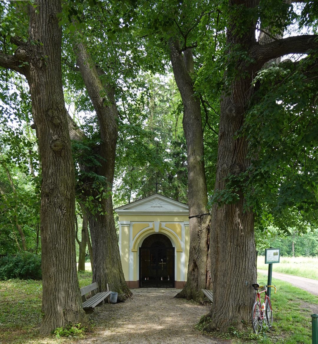 DSC00659_skaliert.jpg