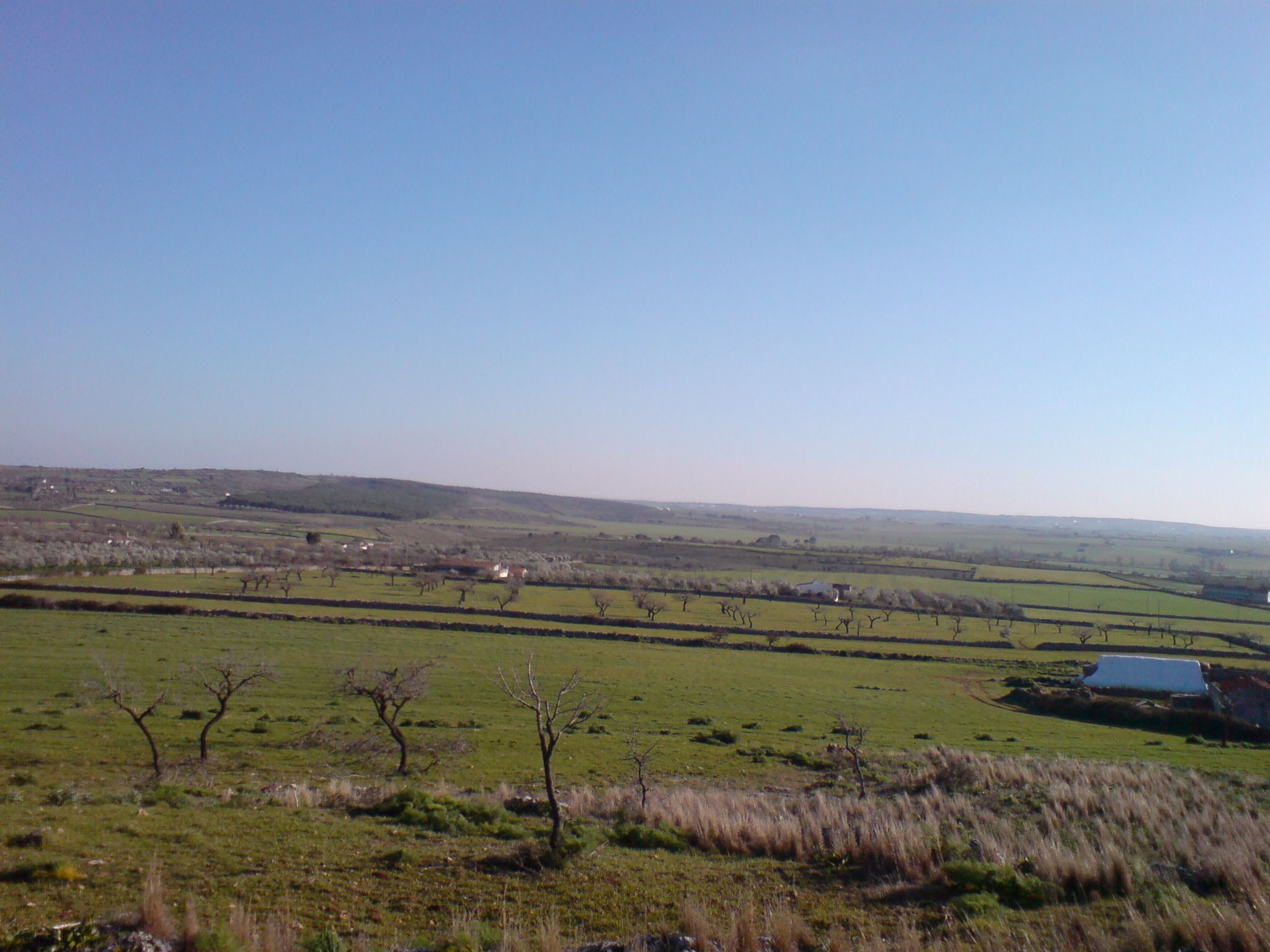 DSC00673.JPG