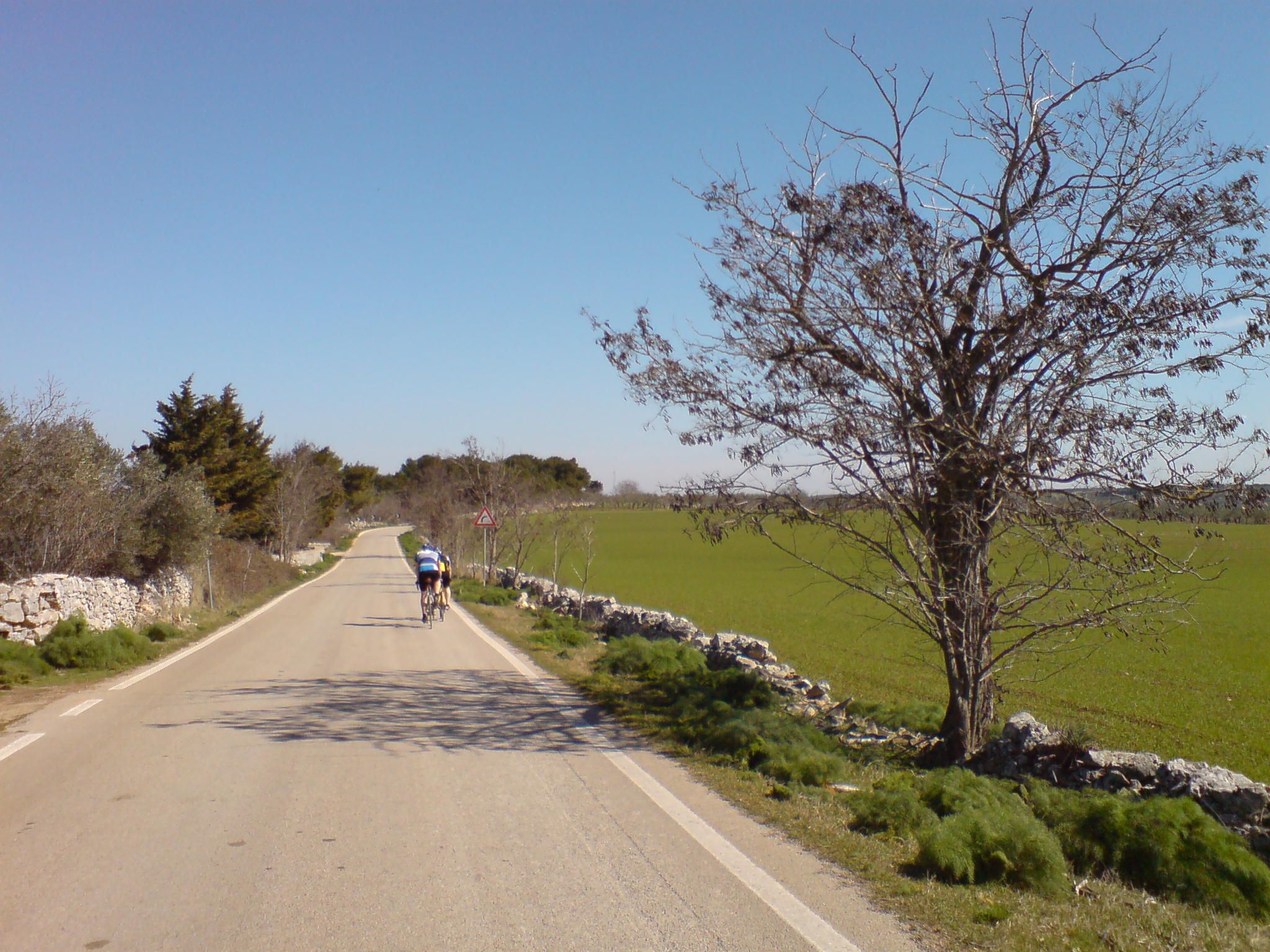 DSC00693.JPG