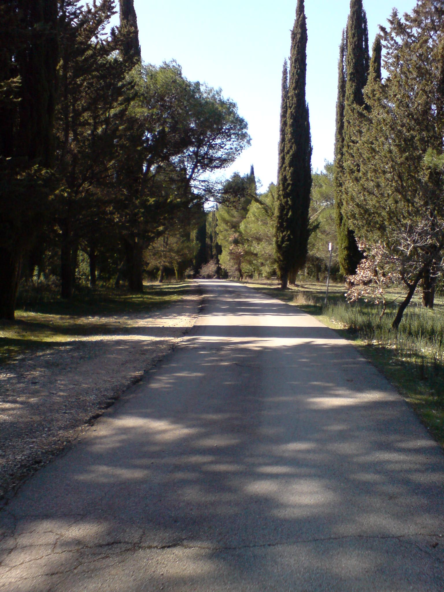 DSC00694.JPG