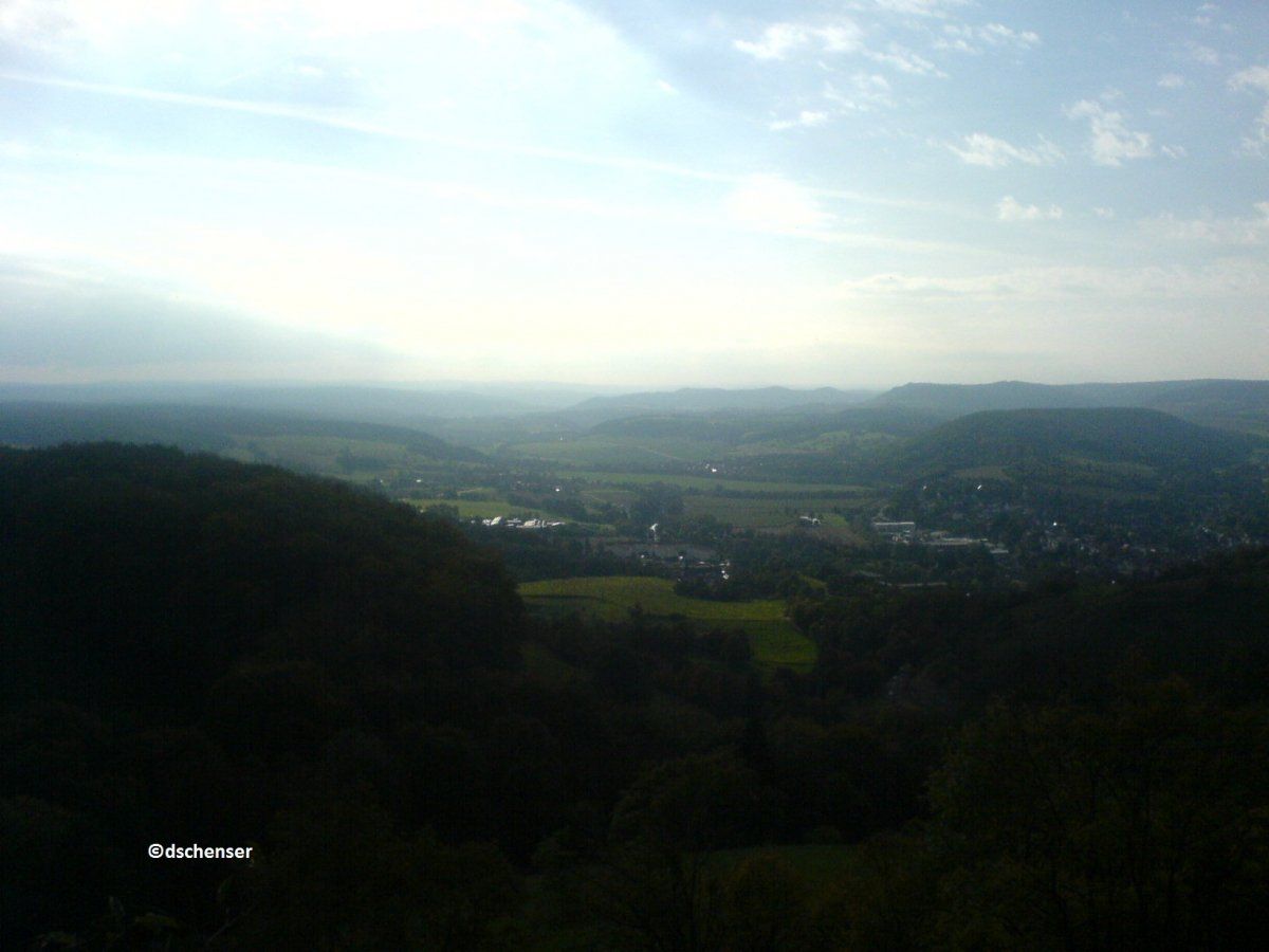 DSC00695copie.jpg