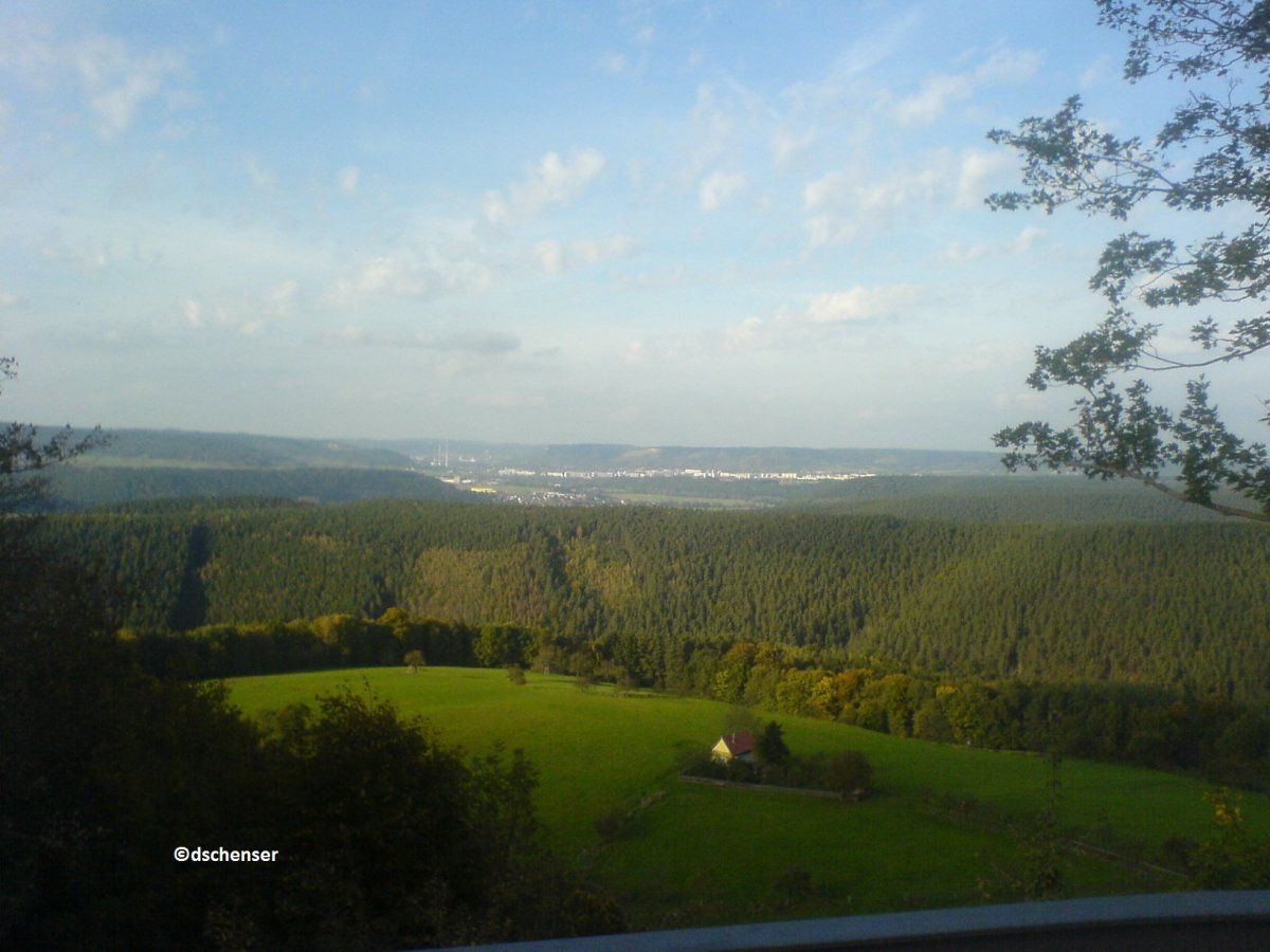 DSC00696copie.jpg