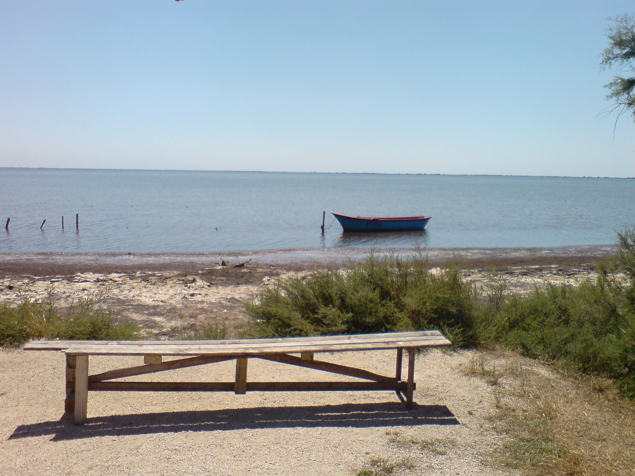 DSC00751.JPG