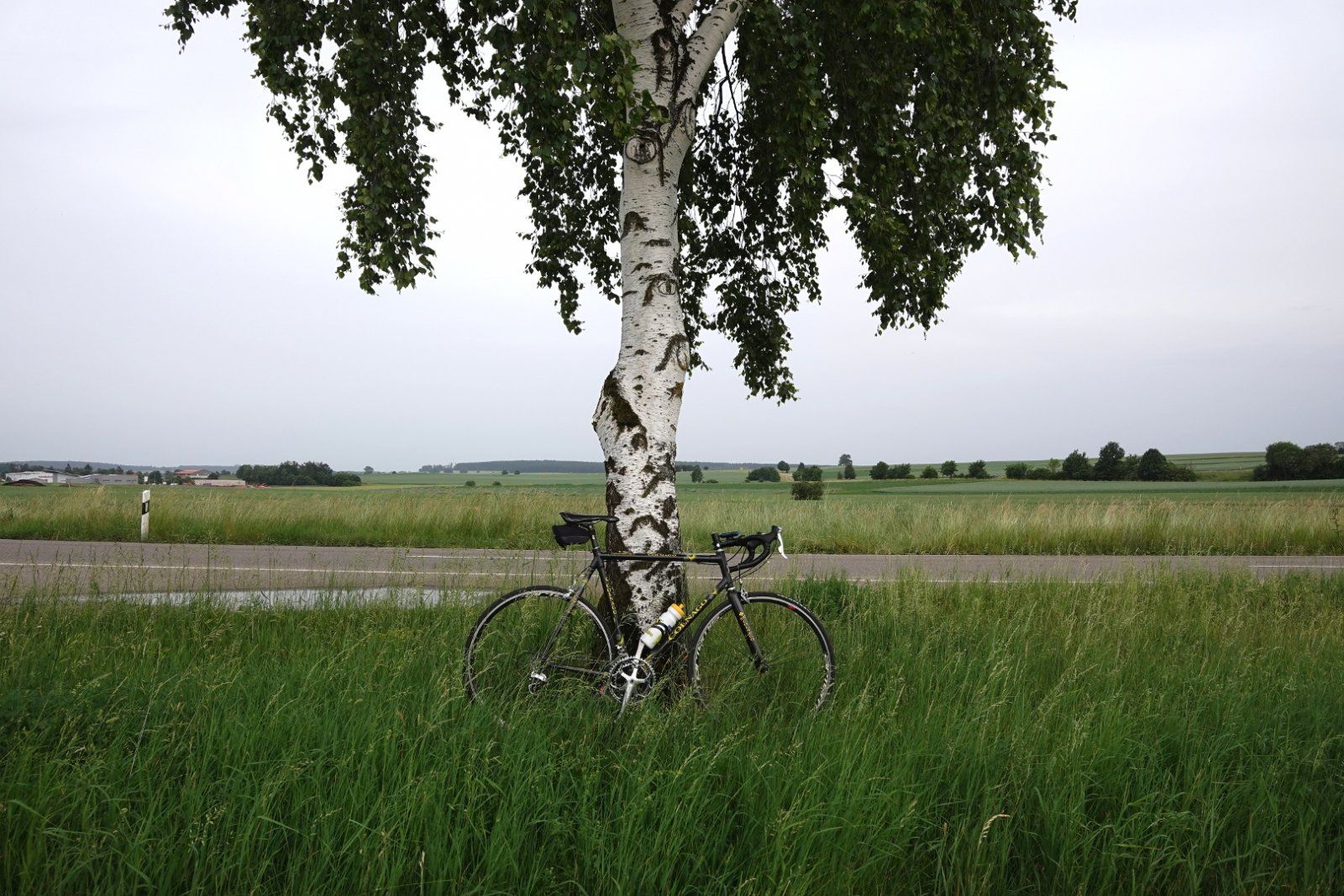DSC00753_skaliert.jpg