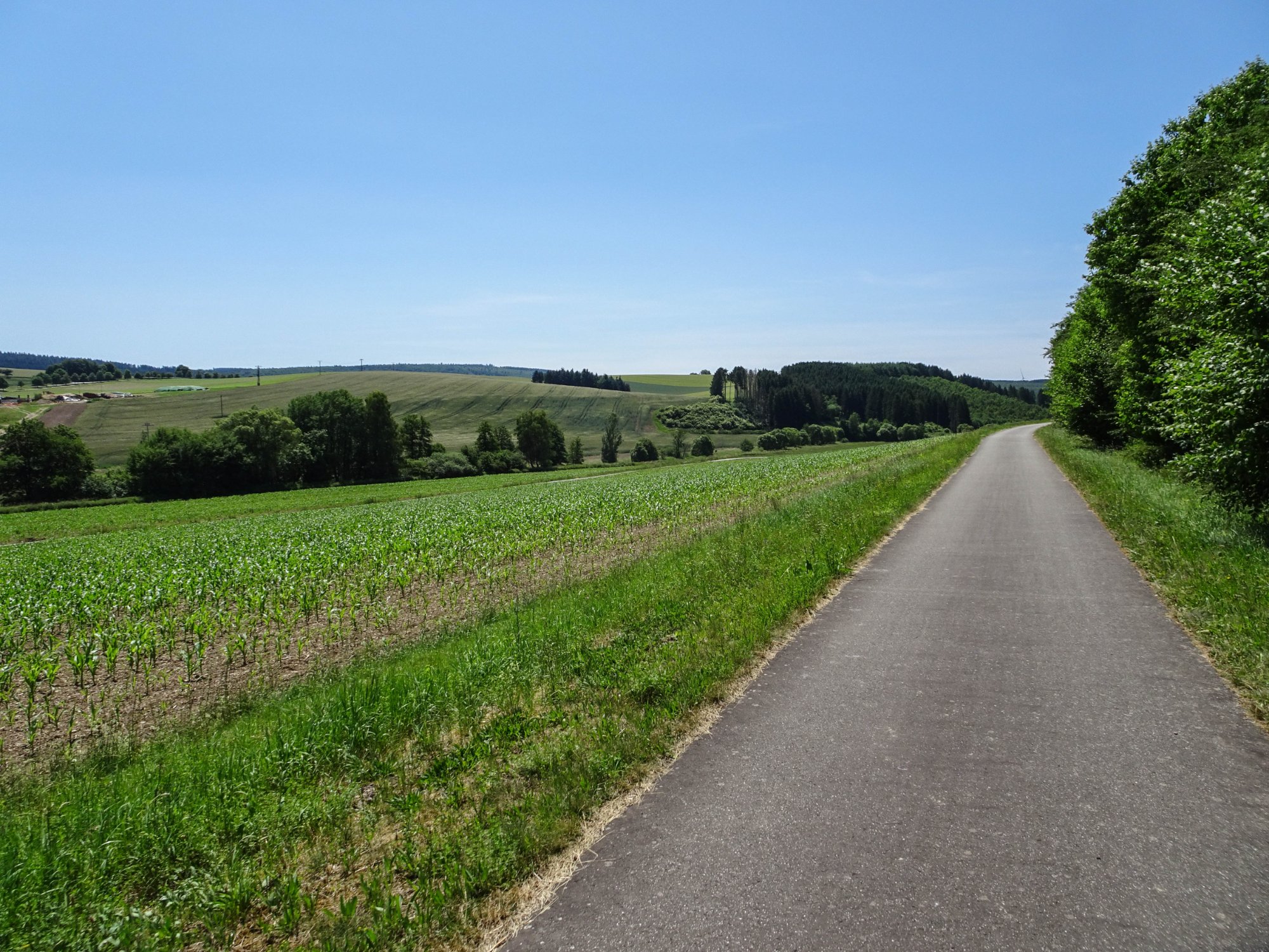 DSC00769.jpg
