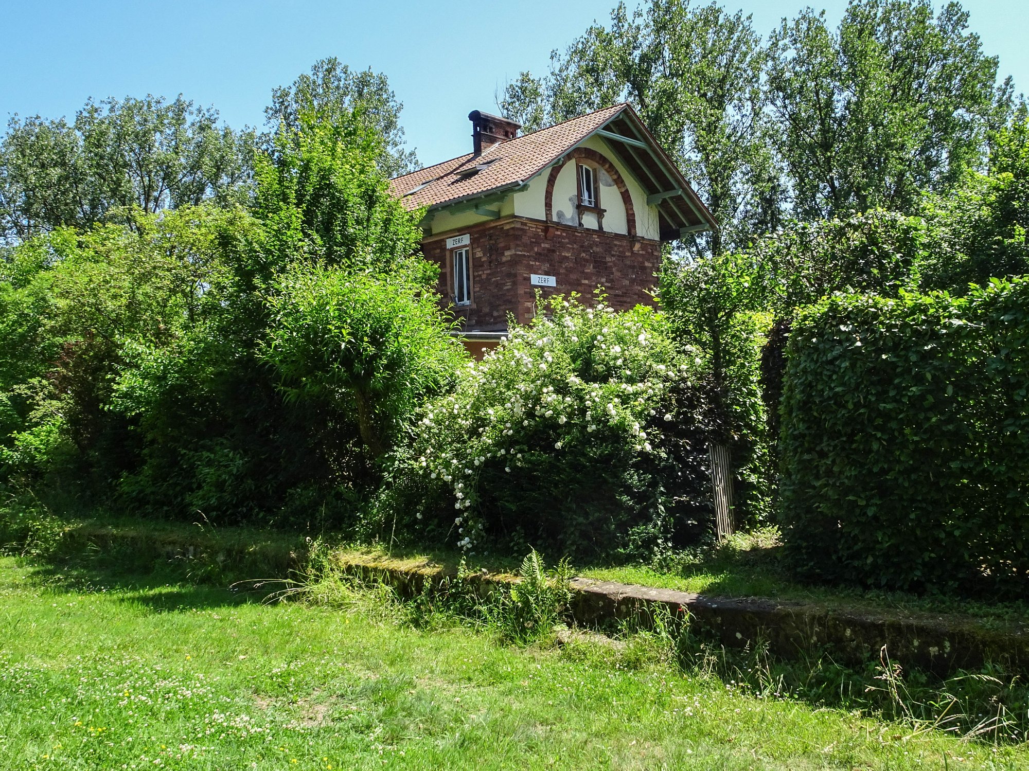 DSC00774.jpg