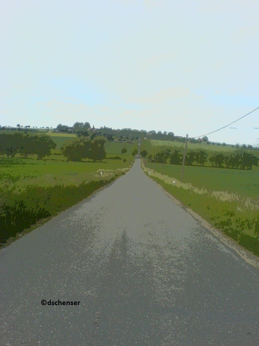 DSC00786c.jpg
