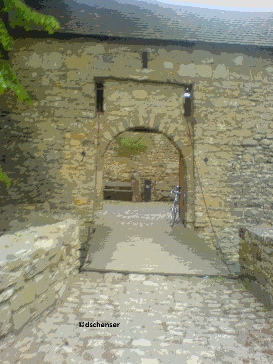 DSC00788c.jpg