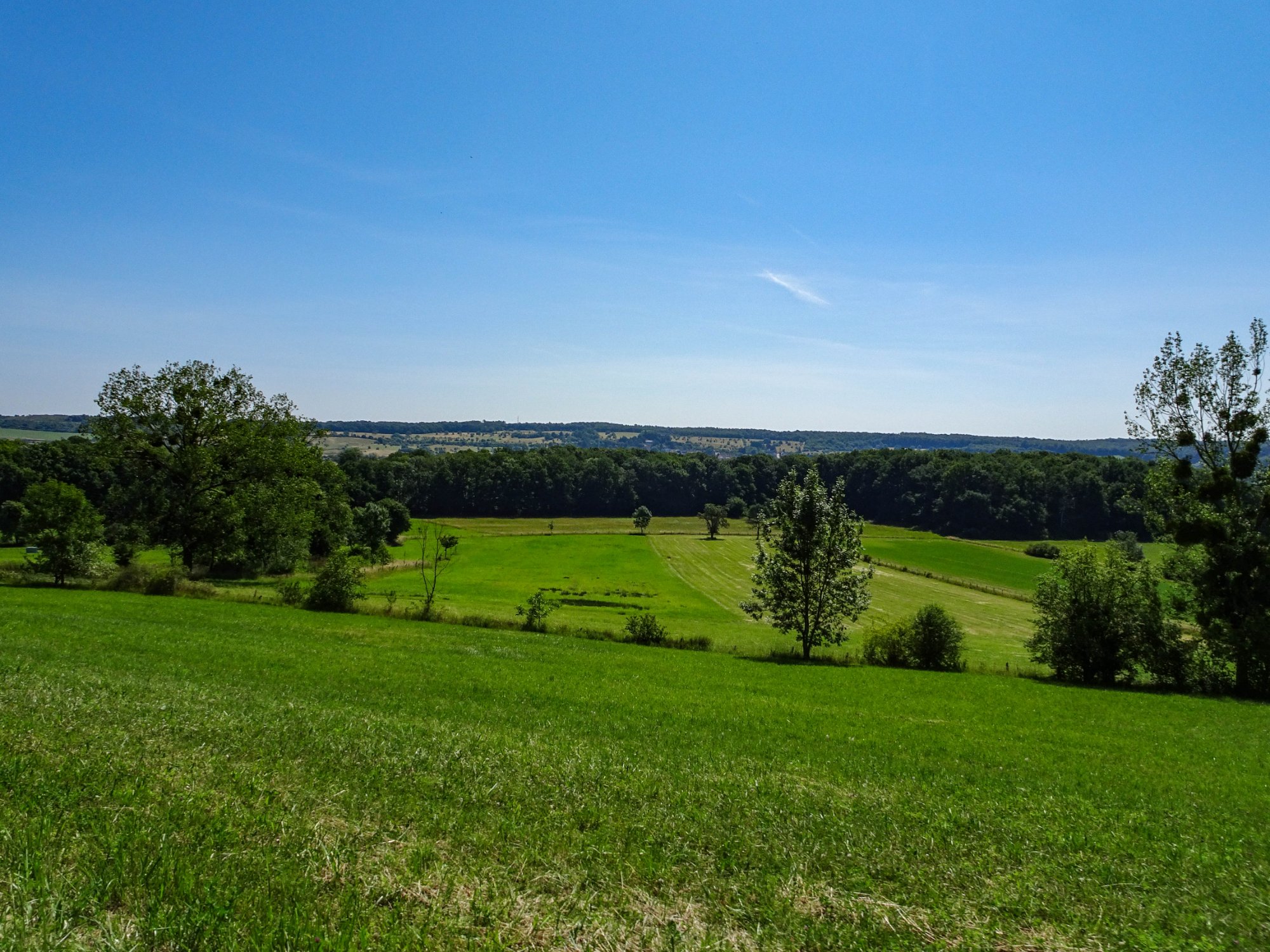 DSC00795.jpg