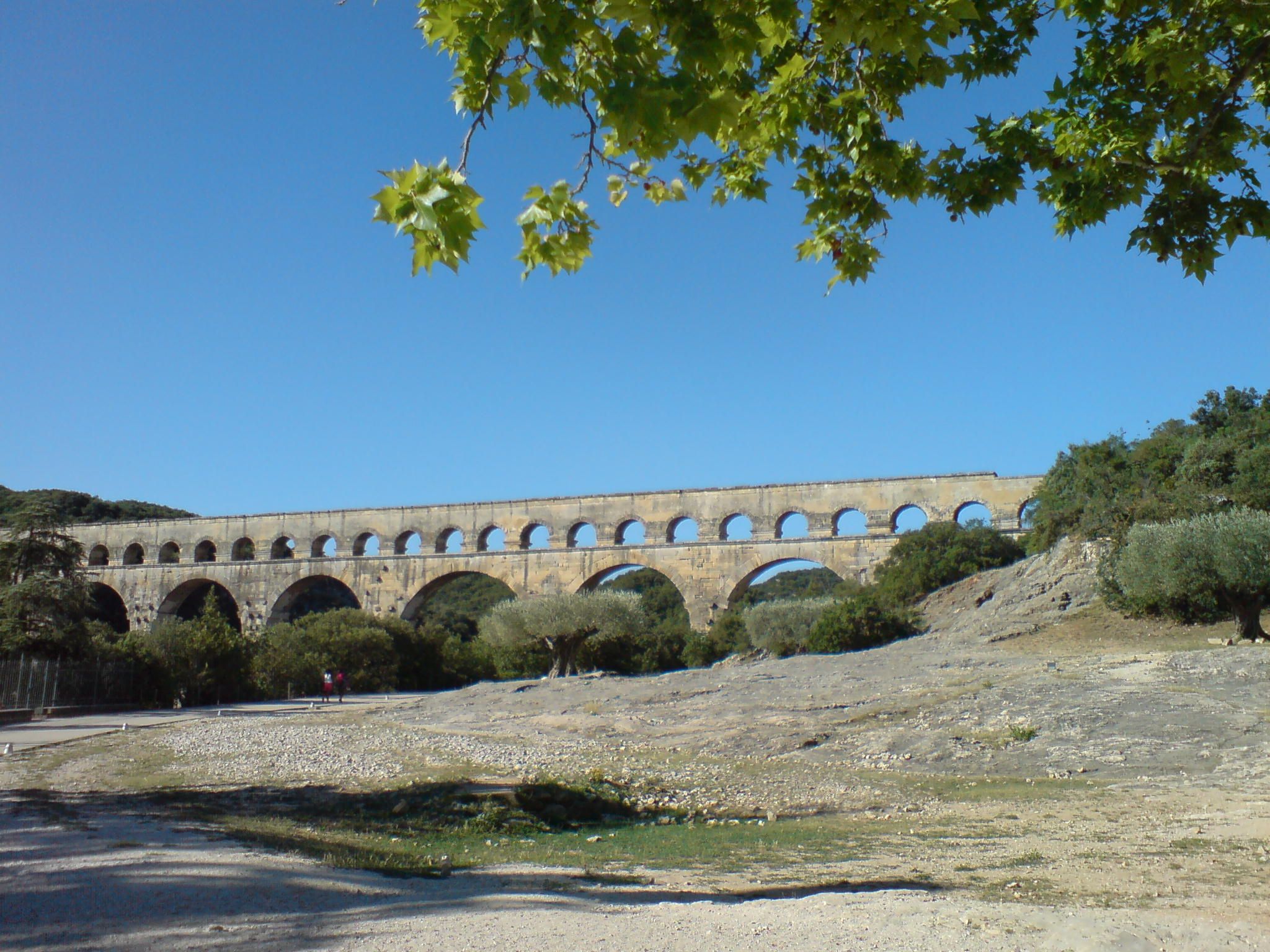 DSC00812.JPG