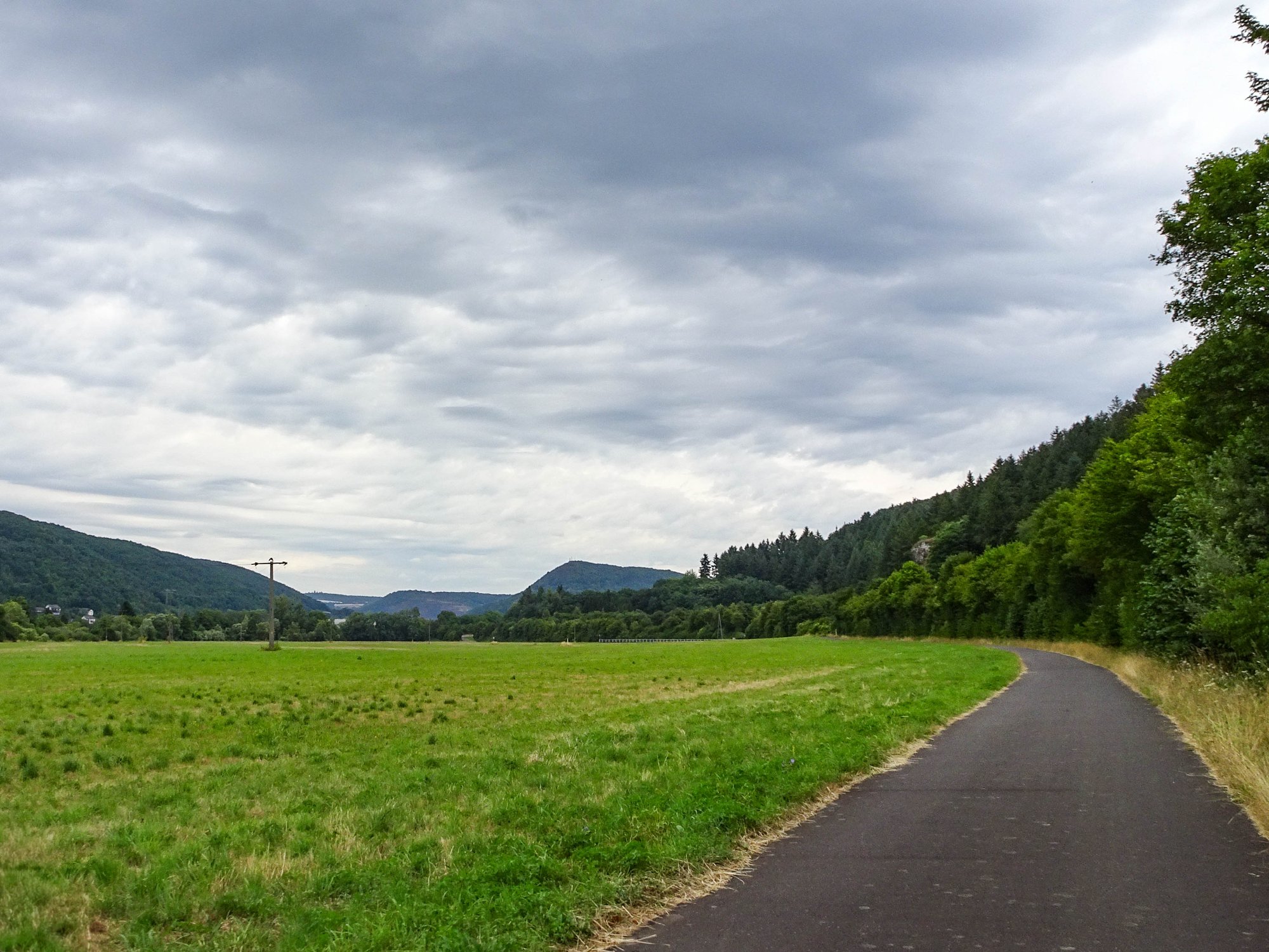 DSC00815.jpg