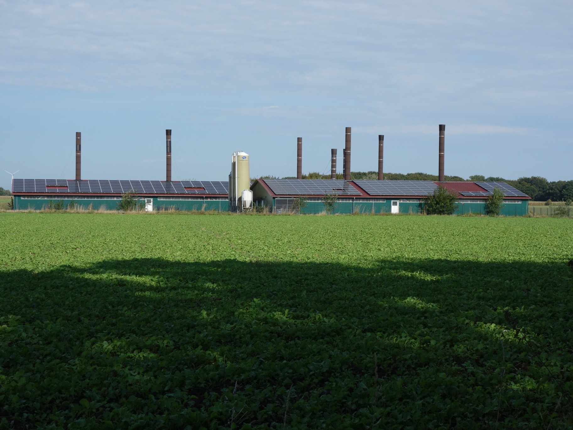 DSC00822.JPG
