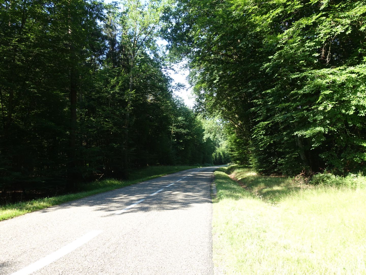 DSC00852.JPG