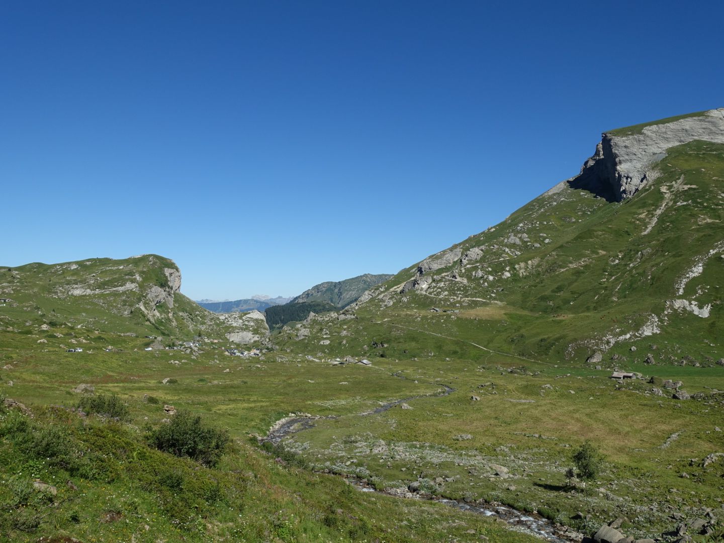 DSC00920.JPG