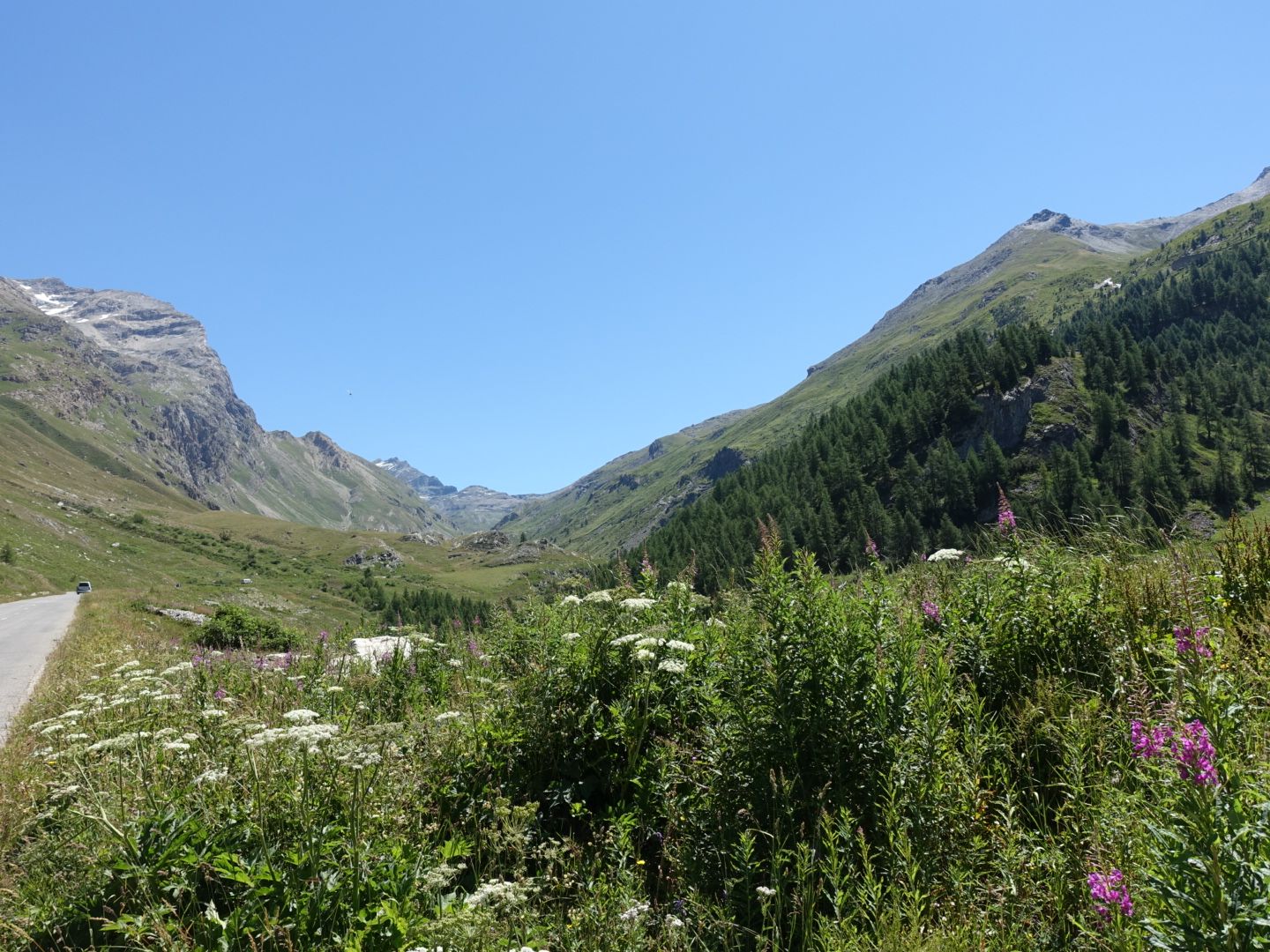 DSC00933.JPG