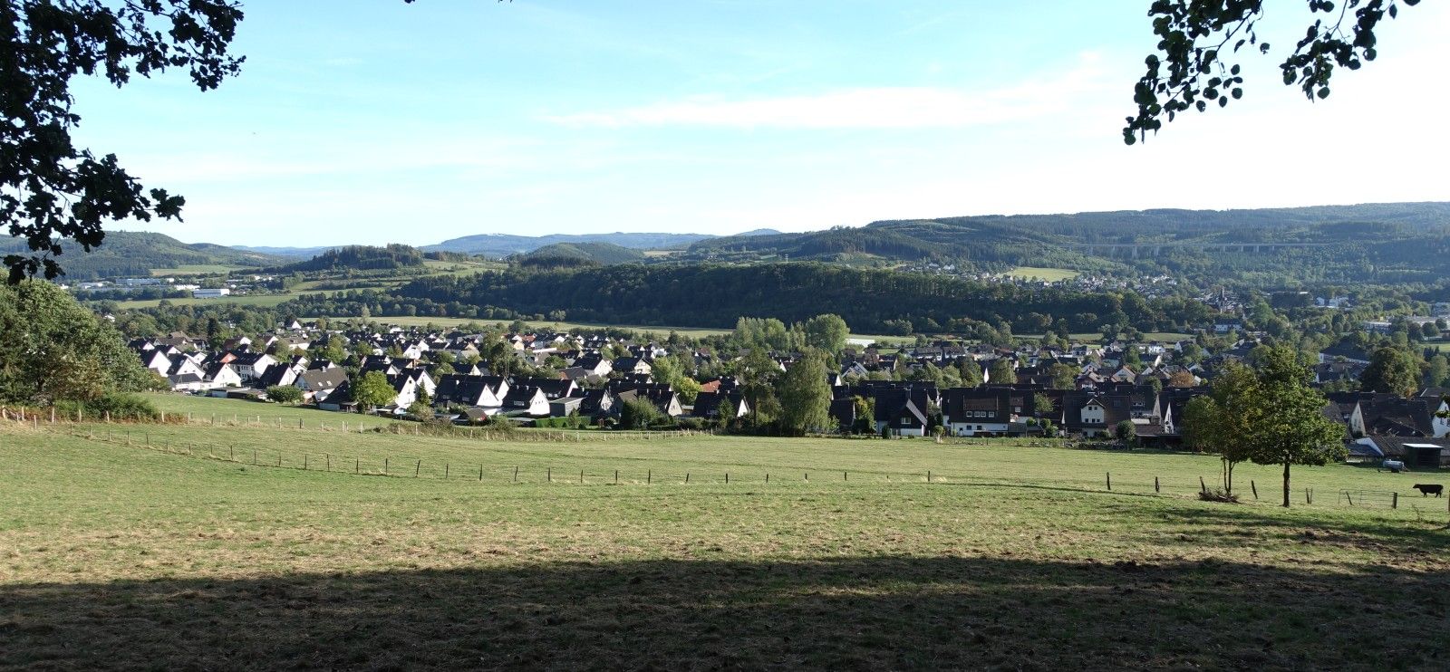 DSC00972.jpg