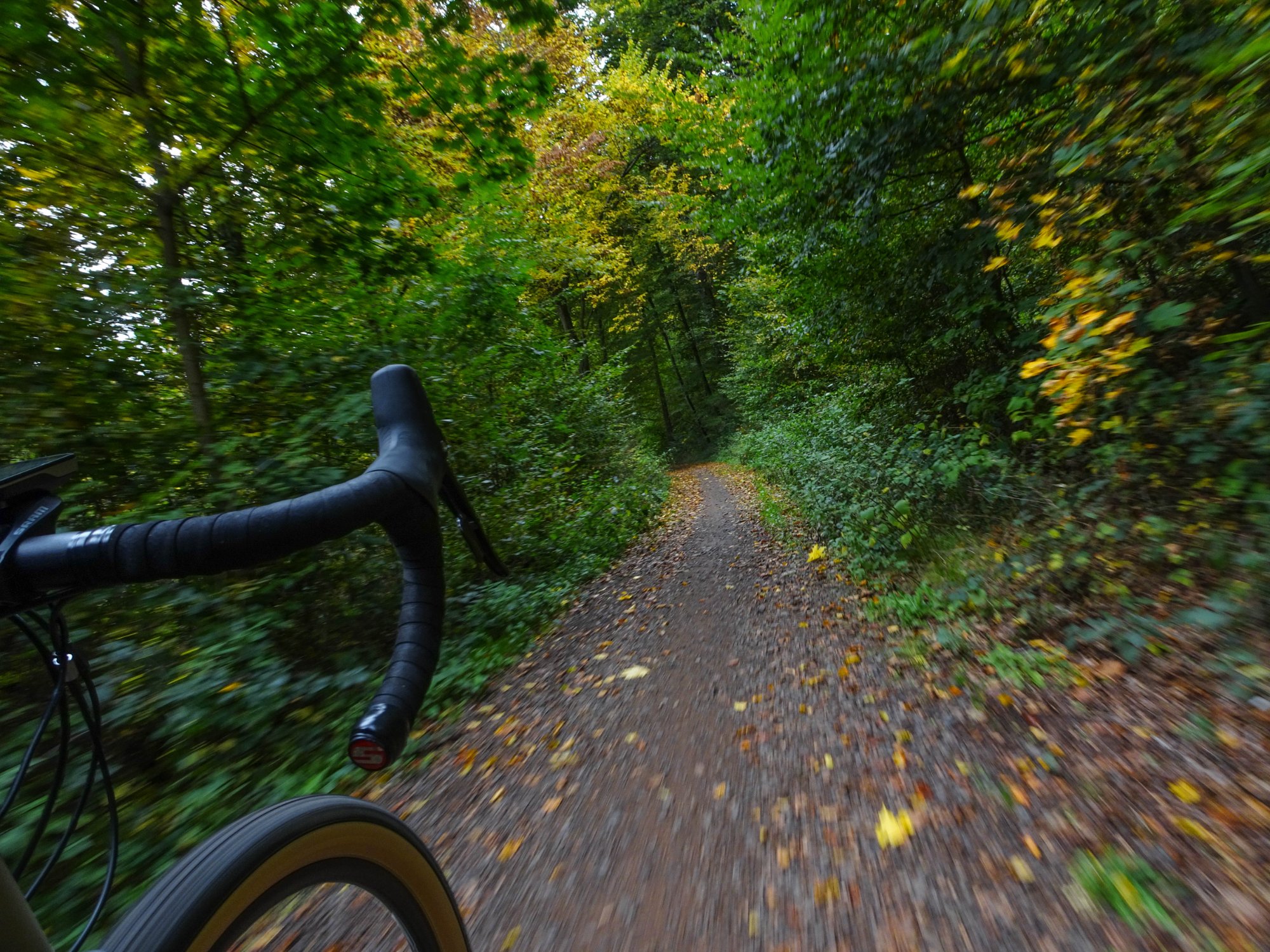DSC01000.jpg