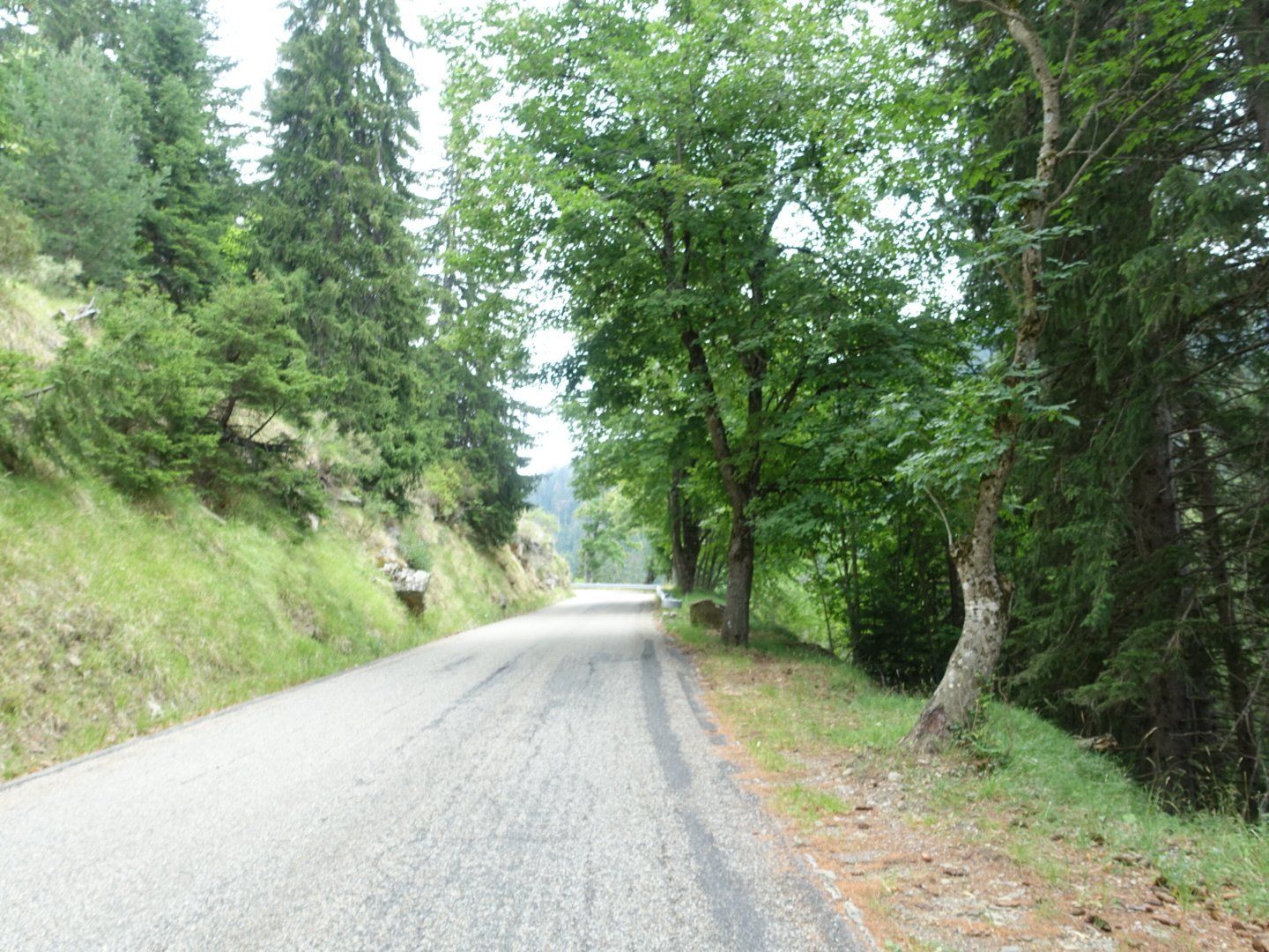 DSC01010.JPG