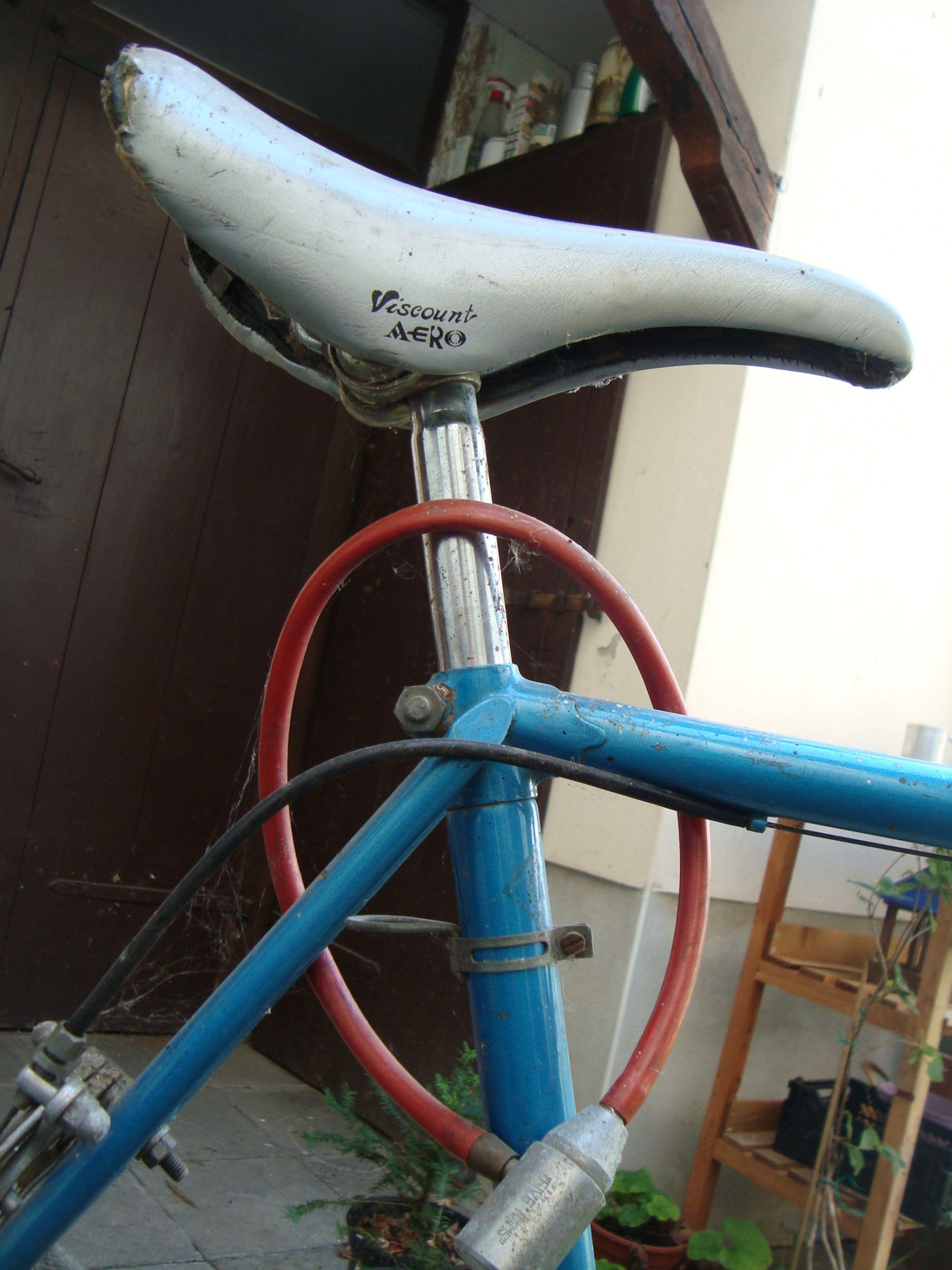 DSC01941.JPG