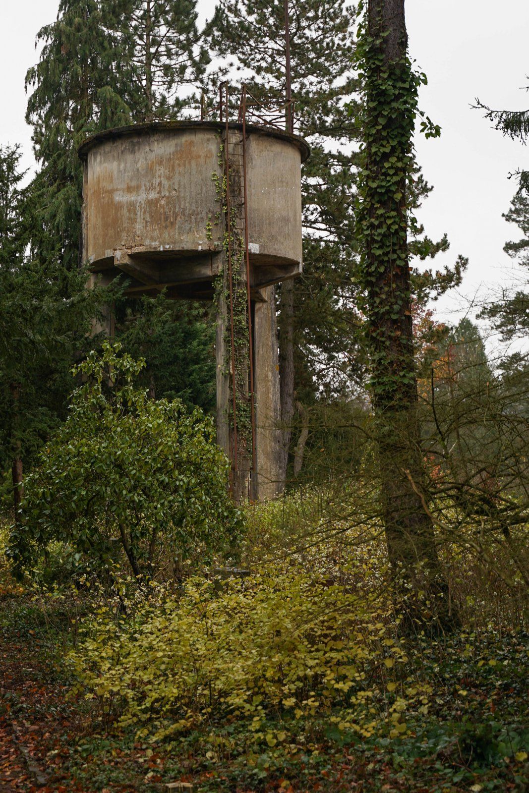 DSC02090.jpg